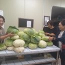 비암2리 이미지