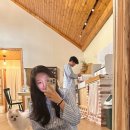 똘내미집 | 제주도 감성 가득한 독채 애견동반 숙소 똘내미집 행복했던 협재애견펜션 후기