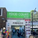 카페테리아 티스토리