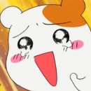 대동시장 이미지