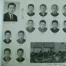 함백초등학교 이미지