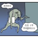 [유럽일지] #10-2 부다페스트 2편_BTS 봉준호 손흥민, 헝가리 국회의사당 Let&#39;s go