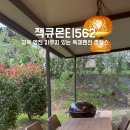 잭큐몬티562 이미지