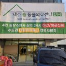 24시 동물병원 곧 오픈예정 이미지