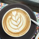 오(O) | 호주 시드니 3대 커피 맛집 [싱글 오 /Single O] 솔직 후기 / 비건 카페 브런치 추천 / 써리힐즈 카페