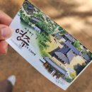 11년만에 고향에 다녀왔습니다. #2 (경상북도 영주시 풍기읍) &amp; 2022 영주 세계 풍기 인삼 엑스포 후기