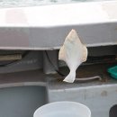 상상속의 펜션 이미지