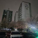 한성목화 | 군포시에서 인천공항 택시요금 택시 예약