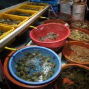 태종대조개구이 이미지