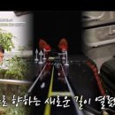 영에너지(이정수) | 건강 7