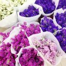 시원병원 이미지