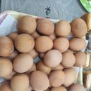 리버핑퐁탁구클럽
