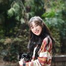 스타펫 이미지