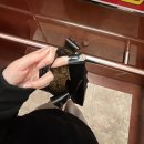 하정원 | 사랑해 정말로