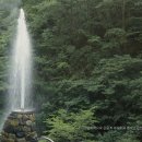 한마루편의점 | [공지] (덕구온천) "국내 유일 100% 자연 용출 온천! 울진 덕구온천 스파월드 & 대온천장 찐 후기"