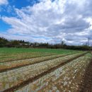 대정문화체육센터 이미지