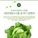 단디푸드 이미지
