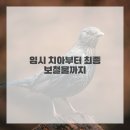 이아소치과의원 이미지