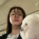 안경코어 이미지