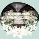 서울 동작구 가성비 웨딩홀 베뉴 : 더에스비 웨딩컨벤션 투어 상담후기(견적o)