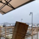 세븐일레븐 대구개나리점 | 2023 3월 초