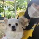 주식회사 몽실이 이미지