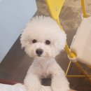 감성그루밍 이미지