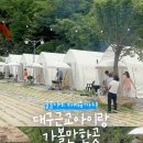 대구숲에가자 이미지