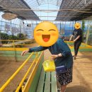 앵두노래연습장 이미지