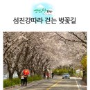 황전북초용림분교장 | 섬진강 따라 걷는 벚꽃길