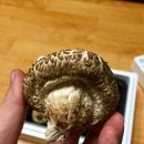 깊은샘블루베리농장 이미지