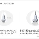 대한신경초음파학회