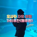 A-TOP FITNESS CENTER | 오사카 해유관(가이유칸) : 티켓 예매와 관람 시 팁 공유 후기 내돈내산