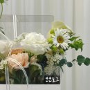 헤미쉬플레르