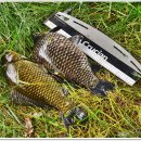드디어 인생붕어 만났습니다. 이미지