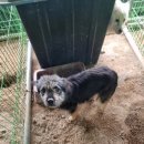 화지6리 이미지