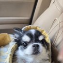 슬픈 출근길 이미지