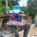 대덕구노인종합복지관 이미지