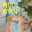 키코스튜디오 이미지
