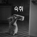 스타탄생코인노래연습장 - 유성구 테크노4로 98-4 | 스타탄생코인노래연습장