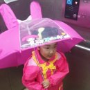 맑은동심유치원 이미지