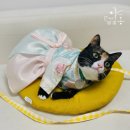 돈까스클럽  아산점 | [내돈내산] 돈까스클럽 아산점 솔직후기_추천하는 편🙆‍♂️