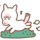 청학 승마클럽 네이버블로그
