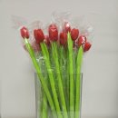 (사)대한파킨슨병협회 홍보 행사 - 의료사회복지사 이미지