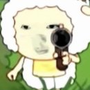 용곤경로당 | 사랑 소리밖에 없네 다들 사랑에 굶주렸나?