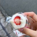 나고야 시라카와고 다카야마 버스투어 당일치기 인디고트래블 내돈내산 후기