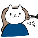 에이룸헤어살롱