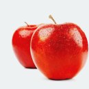 광이농장 이미지