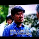 그린온주