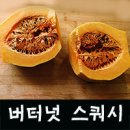 버터넛 스쿼시를 아시나요? 이미지